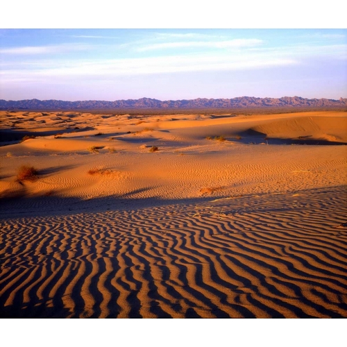USA, California, Glamis Sand Dunes at Sunset